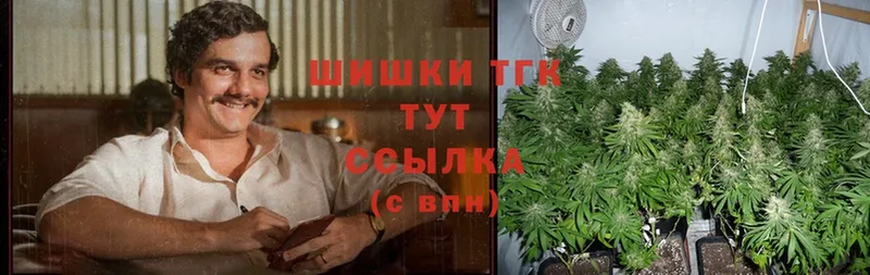 МАРИХУАНА Ganja  Уяр 